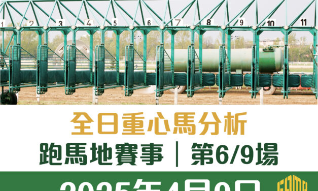 2025年4月9日 跑馬地 第6/9場 重心馬分析