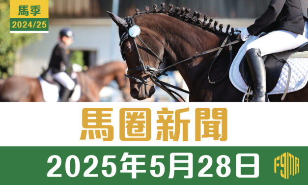 2025年5月28日 馬圈新聞 浪漫勇士做完手術？